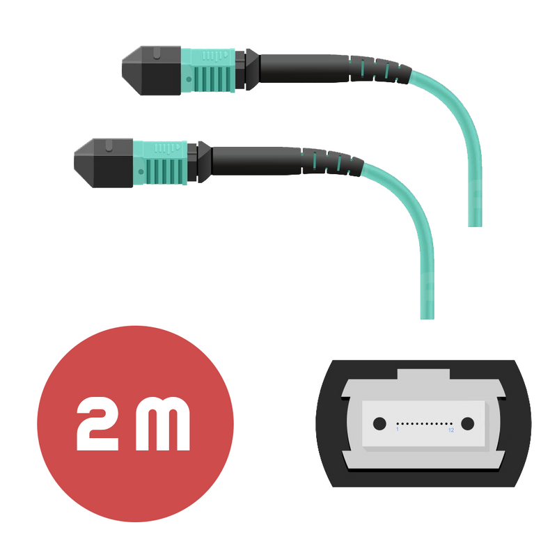 Патч-корд MPO/UPC FF 12F MM OM3 LSZH - 2м #1